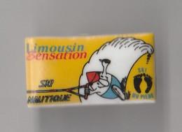 PIN'S  THEME SPORT  SKI NAUTIQUE   EN LIMOUSIN - Waterski