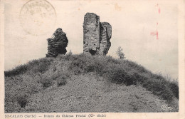72-SAINT CALAIS-N°T1134-B/0341 - Saint Calais