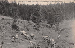 07-LA LOUVESC-N°T1134-C/0397 - La Louvesc