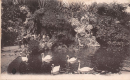 34-SETE-N°T1134-G/0083 - Sete (Cette)