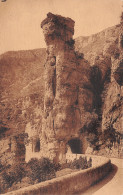 48-GORGES DU TARN POUGNADOIRES-N°T1135-B/0213 - Gorges Du Tarn
