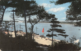 14-DIVES SUR MER-N°T1135-E/0059 - Dives