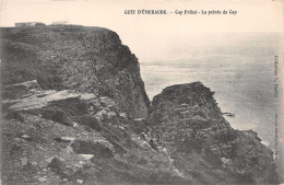 22-CAP FREHEL-N°T1136-E/0061 - Cap Frehel