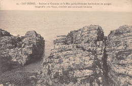 22-CAP FREHEL-N°T1136-C/0379 - Cap Frehel