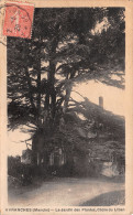 50-AVRANCHES-N°T1137-B/0027 - Avranches