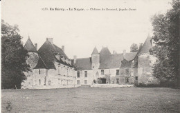 Le Noyer (18 - Cher) Château De Boucard - Autres & Non Classés