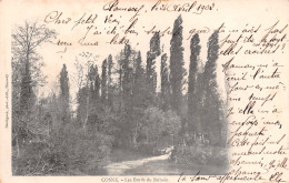 58-COSNE-N°T1139-H/0059 - Cosne Cours Sur Loire