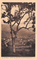 48-FLORAC-N°T1140-D/0381 - Florac