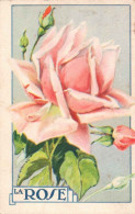 Chromo La Rose - Andere & Zonder Classificatie