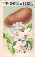 Chromo  La Pomme De Terre - Andere & Zonder Classificatie