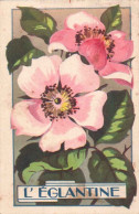 Chromo  L Eglantine - Andere & Zonder Classificatie