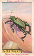 Chromo  Blecao Sagra Briquete - Andere & Zonder Classificatie