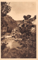 48-GORGES DU TARN-N°T1141-G/0011 - Gorges Du Tarn