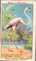 Chromo  La Bledine  Flamant Rose - Andere & Zonder Classificatie