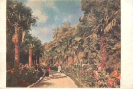 Ukraine Crimeea Nikita Botanical Garden - Ucraina