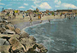 13 - Les Saintes Maries De La Mer - La Grande Plage - CPM - Voir Scans Recto-Verso - Endoume, Roucas, Corniche, Strände