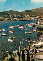 66 - Port Vendres - Le Port De Plaisance - CPM - Voir Scans Recto-Verso - Port Vendres