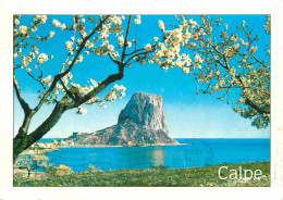 Espagne - Espana - Comunidad Valenciana - Calpe - Vista Del Penon De Ifach - Vue Du Rocher D'Ifach - CPM - Voir Scans Re - Alicante