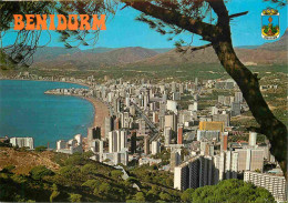 Espagne - Espana - Comunidad Valenciana - Benidorm - Vista General - Vue Générale - Immeubles - Architecture - CPM - Voi - Alicante