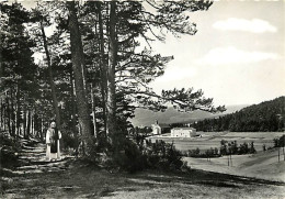 07 - Notre Dame Des Neiges - Par La Bastide - Méditation Dans Les Sous-bois - Animée - Moine - Carte Dentelée - CPSM Gra - Autres & Non Classés
