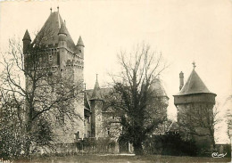 01 - Chazey Sur Ain - Le Château - Mention Photographie Véritable - Carte Dentelée - CPSM Grand Format - Voir Scans Rect - Non Classés