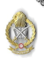 Insigne Armée De Terre Tunisienne - Army