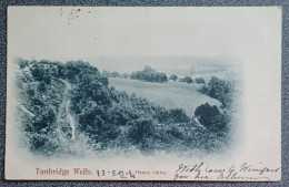 Antique Postcard Happy Valley, Tunbridge Wells Posted 1904 - Tunbridge Wells