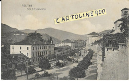 Veneto Belluno Feltre Viale Di Campogiorgio Veduta Mercato Primi 900 (f./piccolo/v.retro) - Mercati