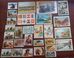 28 Images/Chromos - Benjamin Rabier, Chocolat Martougin, Lombart, Cote D'Or, Meurisse, Victoria, Demaret, Kwatta, Nature - Otros & Sin Clasificación