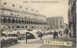 Veneto Padova Piazza Delle Erbe E Palazzo Della Regione Differente Veduta Animata Mercato Carro Ciclista 1900 (v.retro) - Mercati