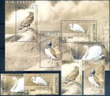 Fauna. Uccelli 2003. - Moldavie