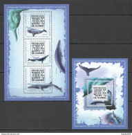 St1380 2013 Guinea Whales Fish & Marine Life Kb+Bl Mnh Stamps - Marine Life