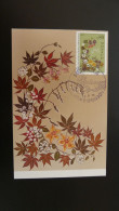 Carte Maximum Card Fleurs Flowers Concours De Bouquets Monaco 1976 - Cartes-Maximum (CM)