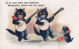 CHAT(ILLUSTRATEUR) - Cats
