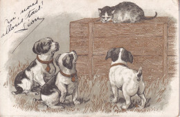 CHAT(CHIEN) - Cats
