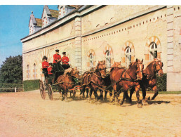 FRANCE - Haras National De Cluny - Break Attelage Des Six étalons - Traits Comtois - Charrett - Edit Cim - Carte Postale - Cluny