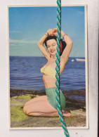 Pin-Up - Pin-Ups