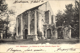 CPA Chateau De La Belle Gabrielle Montceaux - Castles