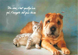 Animaux - Chats - CPM - Voir Scans Recto-Verso - Cats