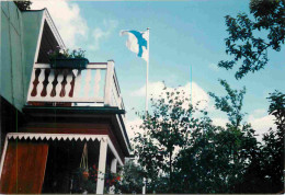 Finlande - Carte Photo - Suomi - Finland - CPM - Voir Scans Recto-Verso - Finnland