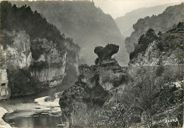 48 - Les Gorges Du Tarn - Le Champignon - Carte Dentelée - CPSM Grand Format - Voir Scans Recto-Verso - Gorges Du Tarn