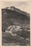 N.O.399  --  ALPENGASTHOFGEYSCHLAGER  1013 M  Am  PREINER GSCHEID  --  1944. - Autres & Non Classés