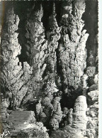 07 - Aven D'Orgnac - Grotte Souterraine - La Base De Grandes Stalagmites De La Salle Supérieure - Mention Photographie V - Autres & Non Classés