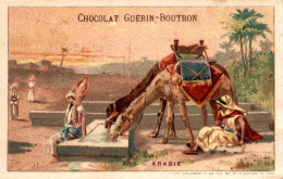 CHROMO CHOCOLAT GUERIN BOUTRON OASIS ARABIE - Guerin Boutron