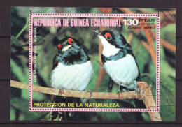 Guinea Equatorial Block 236 Used Birds Animals Nature (1976) - Guinée Equatoriale