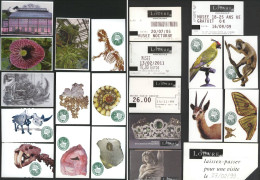 France, Paris. Louvre. Musée D'histoire Naturelle. - Tickets - Vouchers