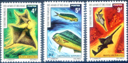 Territorio Degli Afars E Degli Issas. Fauna 1971. - Djibouti (1977-...)
