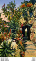 CPA - MONACO - LES JARDINS EXOTIQUES - Exotic Garden
