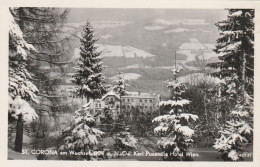 N.O.405  --  ST. CORONA Am WECHSEL   --  KARL PUZANDL' S HOTEL WIEN WECHSEL  --  CARTE PHOTO - Autres & Non Classés