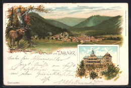 Lithographie Tabarz, Kurhaus, Panorama - Tabarz